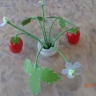 Клубнички Клубнички