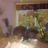 золотая осень золотая осень