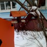 Кормушка для пичужки Кормушка для пичужки
