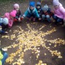 Солнышко из желтых листьев Солнышко из желтых листьев