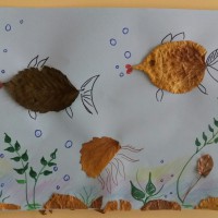 Рыбки Рыбки