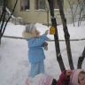 Птичья столовая Птичья столовая