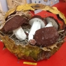 Грибы из сказки Грибы из сказки