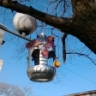 Кормушка Кормушка