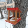 КОРМУШЕЧКА КОРМУШЕЧКА