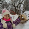 "Для любимых птичек" "Для любимых птичек"