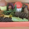 Осенние грибочки Осенние грибочки