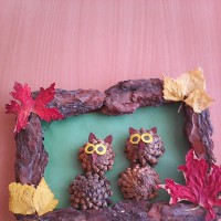 Совушки Совушки