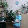 Домик для пернатых гостей Домик для пернатых гостей