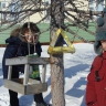 Замечательные кормушки Замечательные кормушки