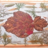 Морская рыбка Морская рыбка