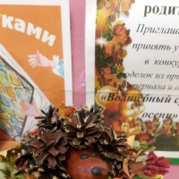 Ёжик Ёжик