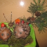 Семья ёжиков и друг паучок Семья ёжиков и друг паучок