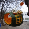 Кормушка для городских птичек Кормушка для городских птичек