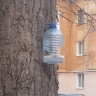 Кормушка для птиц Кормушка для птиц