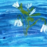 Подснежники Подснежники