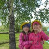 День одуванчиков День одуванчиков