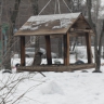 столовая для птичек столовая для птичек