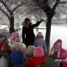 Покормите птиц зимой Покормите птиц зимой