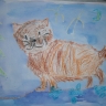 "Котенок" "Котенок"