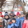 Кормушки на нашем участке Кормушки на нашем участке