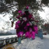 елочка елочка