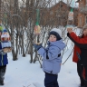 Птичья столовая Птичья столовая