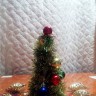 Маленькая ёлочка Маленькая ёлочка