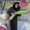 Наша кормушка Наша кормушка