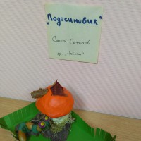 Подосиновик Подосиновик