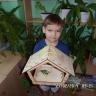 кормушка для синички кормушка для синички