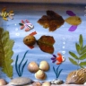 "Морское дно" "Морское дно"