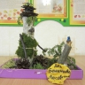 "Лесовичок" "Лесовичок"
