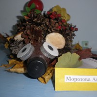 Осенний ёжик Осенний ёжик