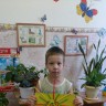 Солнышко в ладошки Солнышко в ладошки