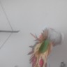 Изобилие Изобилие