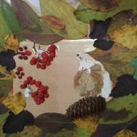 Ёжик в лесу Ёжик в лесу