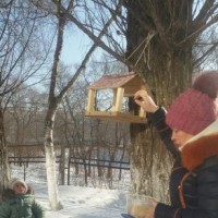 "Чем кормить птиц?" "Чем кормить птиц?"