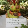 Гусеничка Тося Гусеничка Тося