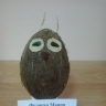 Сова Сова