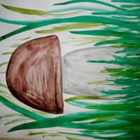 Подберёзовик Подберёзовик