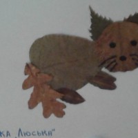 Кошка Люська. Кошка Люська.
