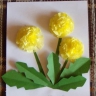 Одуванчики Одуванчики