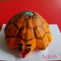 Черепашка Черепашка