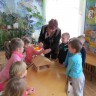 Не дадим погибнуть птицам Не дадим погибнуть птицам