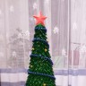 Зеленая красавица Зеленая красавица