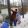 Мы заботимся о наших пернатых друзьях Мы заботимся о наших пернатых друзьях