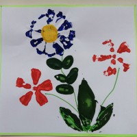 Красивые цветы