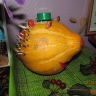 Ёжик Ёжик