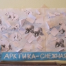 Арктика - снежная страна Арктика - снежная страна